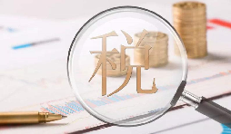 電子稅務(wù)局1月新增重點(diǎn)功能！速看！