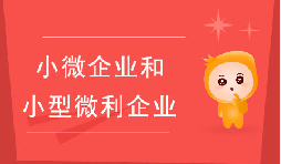小微企業(yè)和小型微利企業(yè)有什么區(qū)別？